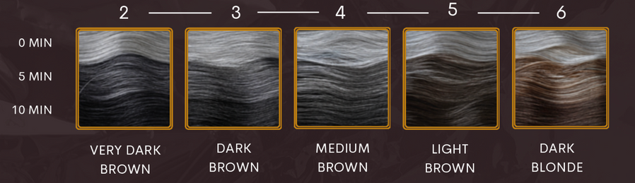 Система маскировки седины Barberito Cover Blend - 2 Very Dark Brown 60мл